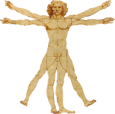 Vitruvian Man